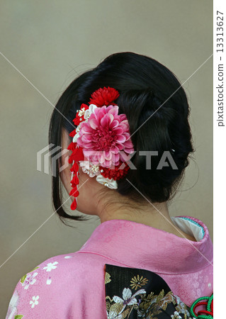 Kimono Kimono 13313627