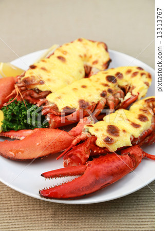 lobster 13313767