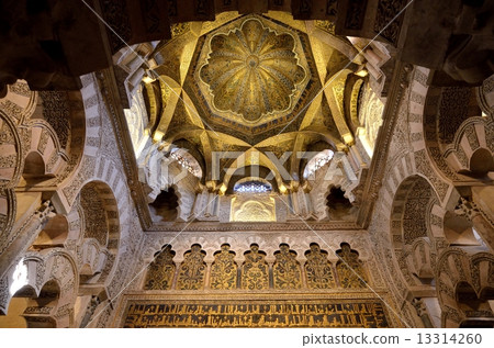 Mesquita's maxla 13314260