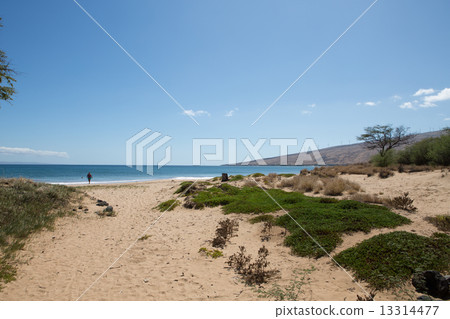 Beaches of Maui 13314477