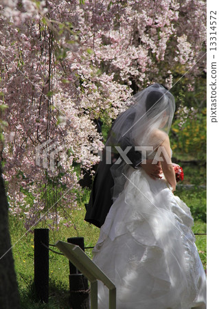 A wedding 13314572