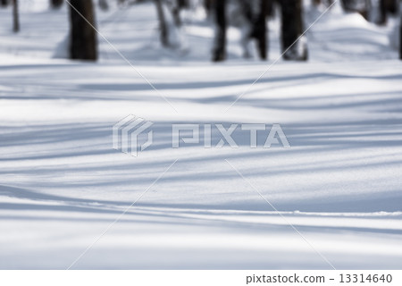 Shadow pattern in winter 13314640