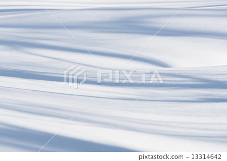 Shadow pattern in winter 13314642