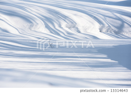 Shadow pattern in winter 13314643