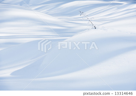 Shadow pattern in winter 13314646