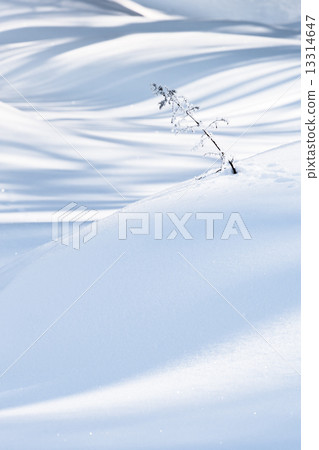 Shadow pattern in winter 13314647