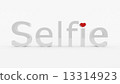 Selfie 13314923