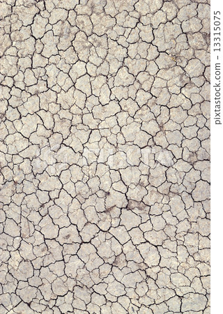 Dry cracked earth 13315075