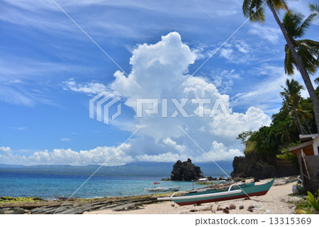 Beach in the Philippines Apo Island Beach in the Philippines Apo Island 13315369