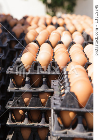 Eggs in the package 13315849