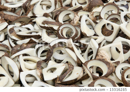 Vegetable Ivory - Tagua Seeds 13316285