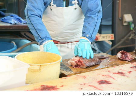 三片海鯛 13316579