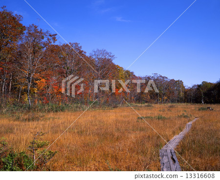 秋天新月停泊 秋天新月停泊 13316608