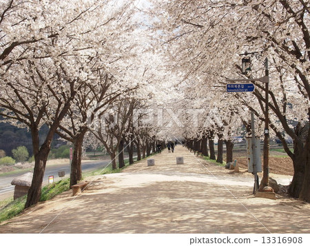 Andoh Ha village 13316908