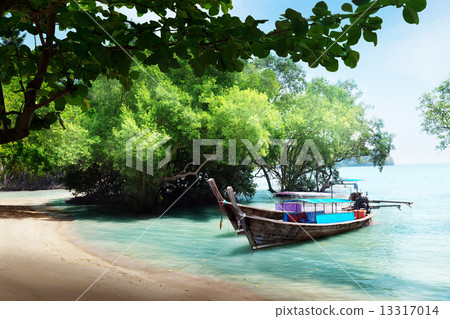 long boats on beach in Thailand 13317014
