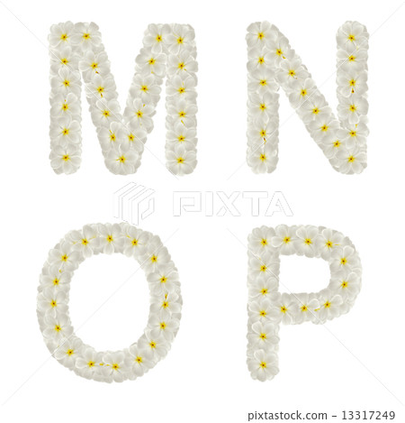 Letters made of tropical flowers frangipani  13317249
