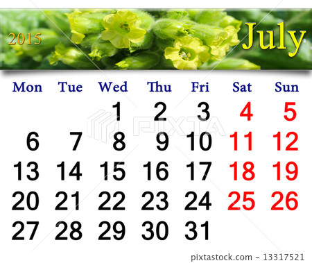 calendar for July 2015 with flowers of tobacco calendar for July 2015 with flowers of tobacco 13317521