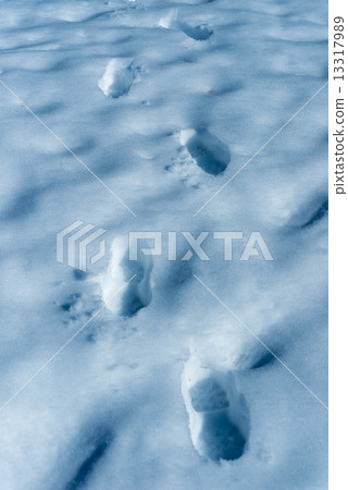 雪後的腳 雪後的腳 13317989