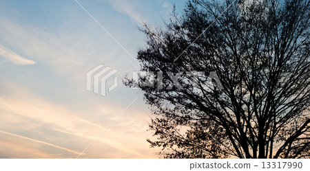 傍晚的天空 13317990