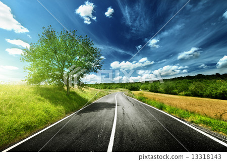 asphalt road in Tuscany Italy 13318143