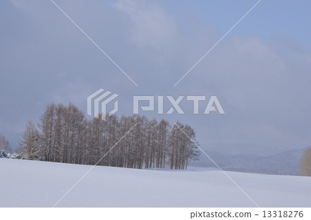 雪景 13318276