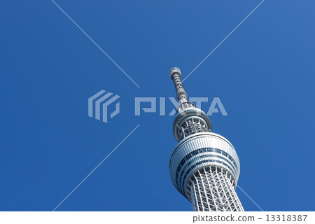 藍天和天空樹 13318387