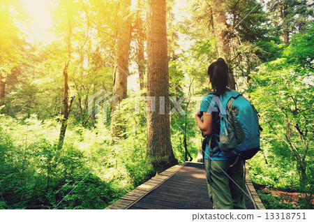 woman tourist hiking in jiuzhaigou national park,china  13318751