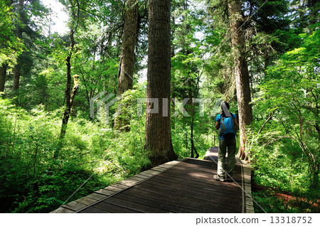 woman tourist hiking in jiuzhaigou national park,china  13318752