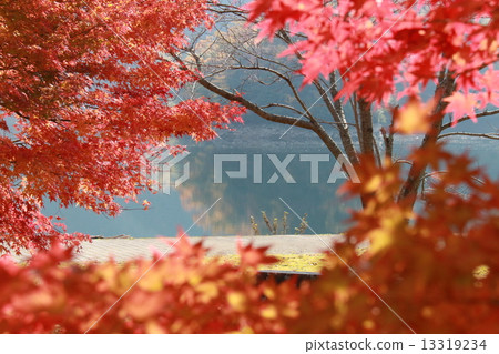 從秋天顏色之間看見的湖Kanashima 13319234