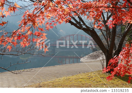 秋季樹葉和平原橋 秋季樹葉和平原橋 13319235