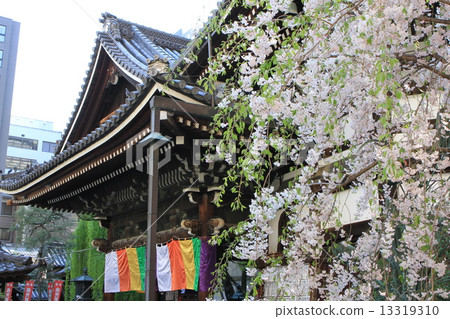 Zhoho-ji Temple (Hexagon-do) 13319310