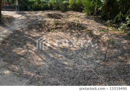 Killing Field 13319490