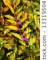 Double exposure of floral objects 13319504