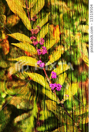 Double exposure of floral objects Double exposure of floral objects 13319504