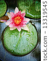 Double exposure of floral objects 13319545