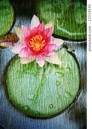 Double exposure of floral objects Double exposure of floral objects 13319545
