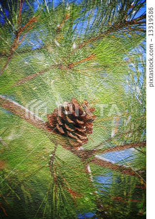 Double exposure of floral objects Double exposure of floral objects 13319586