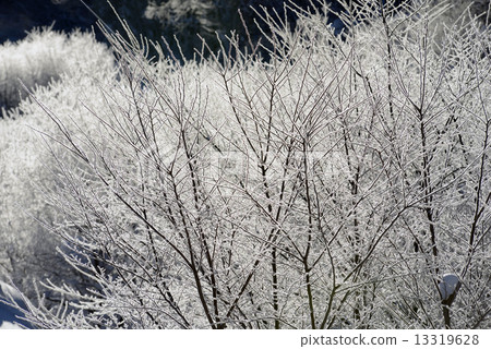 Snowy icy ice 13319628