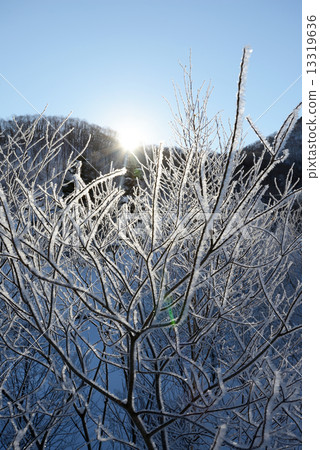 白雪皚皚的冰冰 白雪皚皚的冰冰 13319636