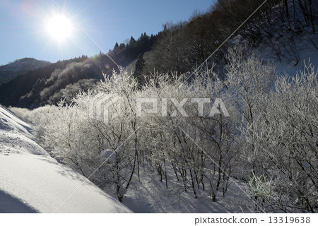 Snowy icy ice Snowy icy ice 13319638