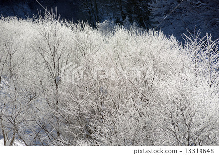 Snowy icy ice Snowy icy ice 13319648