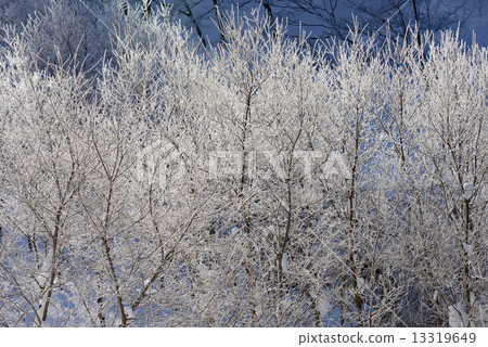 白雪皚皚的冰冰 白雪皚皚的冰冰 13319649