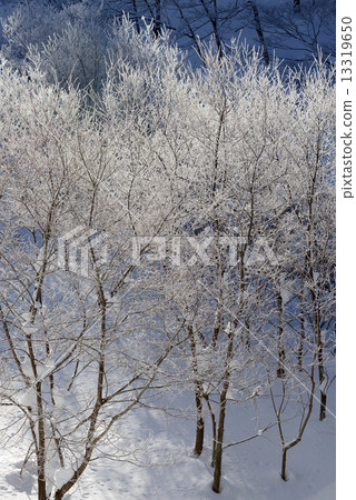 白雪皚皚的冰冰 白雪皚皚的冰冰 13319650
