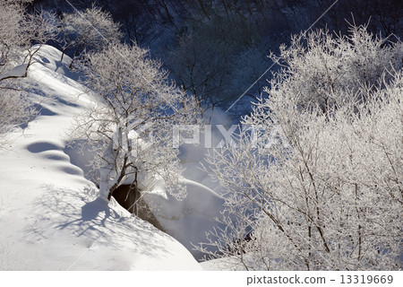 白雪皚皚的冰冰 白雪皚皚的冰冰 13319669