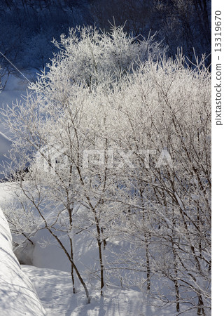 白雪皚皚的冰冰 白雪皚皚的冰冰 13319670