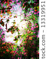 Double exposure of floral objects 13319951