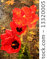 Double exposure of floral objects 13320005