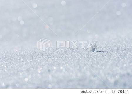 雪花 13320495