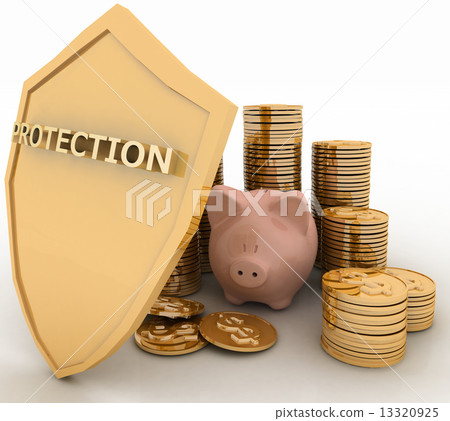 protection of finance 13320925