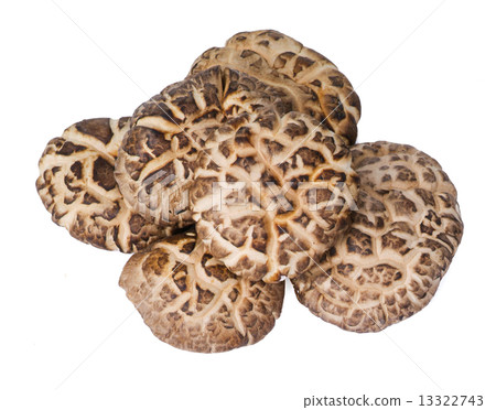 Dried mushroom closeup on white background 13322743